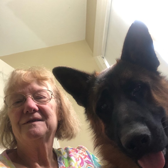 Meet your Posher, Linda - Picture 4 of 4